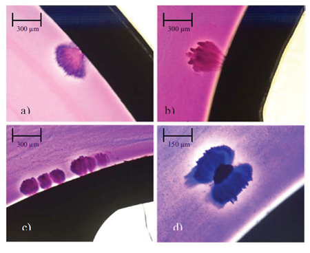 Figure 1. Differing types of water trees within cable insulation layers ORE fig 1 new