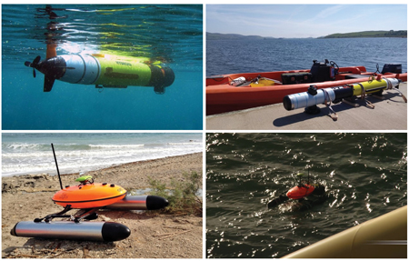 Figure 1. Examples of AUV and USV platforms MarynSol 01 AUV USV moasic