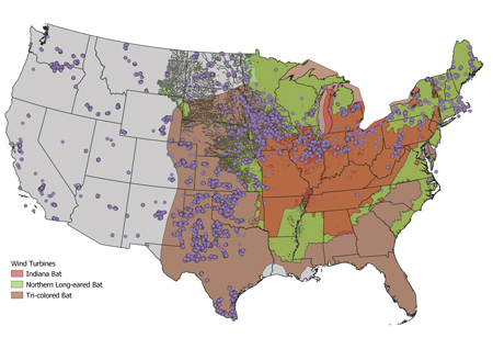Figure 1. Overlap of ranges of species listed or proposed for listing under the Endangered Species Act with wind assets in the USA (source: U.S. Fish & Wildlife Service and U.S. Geological Survey) Bat Figure 1 US Map