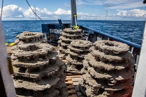 3D-printed reefs to help restore marine biodiversity in the Kattegat in Denmark 3d printed reefs 300 200